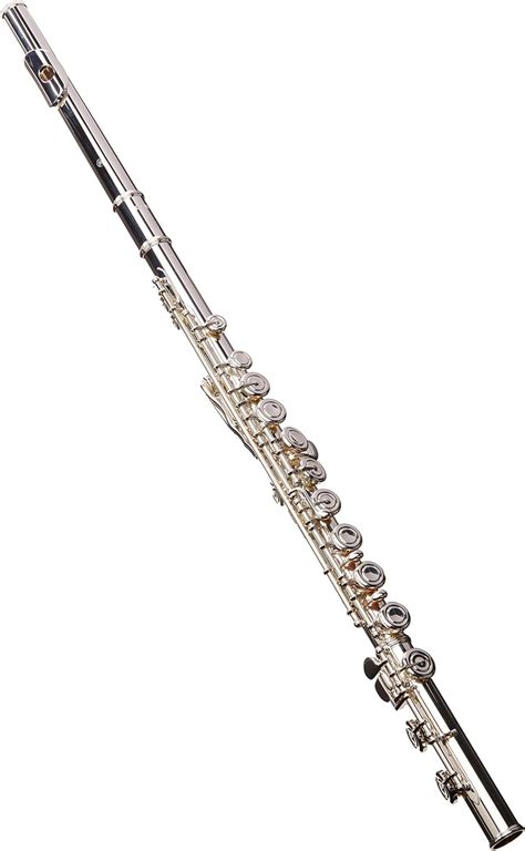 flute instrument amazon